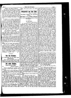 PassauNewspaper 3
