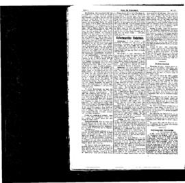 PassauNewspaper 4