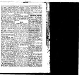PassauNewspaper 3