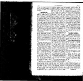 PassauNewspaper 2