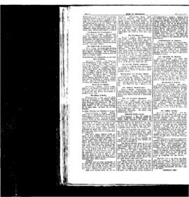 PassauNewspaper 2