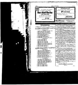 PassauNewspaper 8