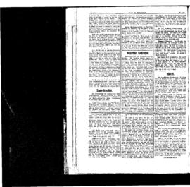 PassauNewspaper 2