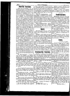 PassauNewspaper 4