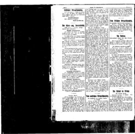 PassauNewspaper 2