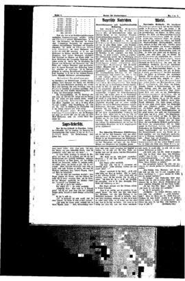 PassauNewspaper 2