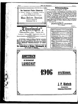 PassauNewspaper 8
