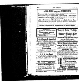 PassauNewspaper 8