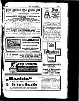 PassauNewspaper 7