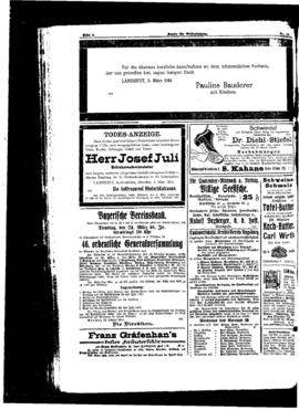 PassauNewspaper 8