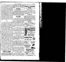 PassauNewspaper 11