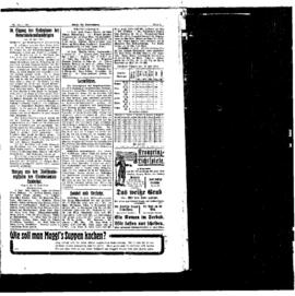 PassauNewspaper 5