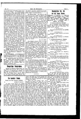 PassauNewspaper 3