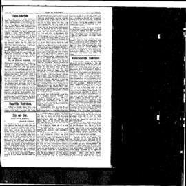 PassauNewspaper 3