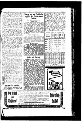 PassauNewspaper 7