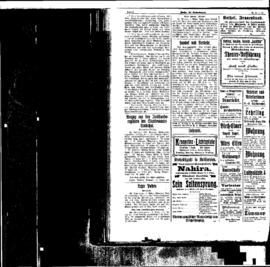 PassauNewspaper 6