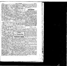 PassauNewspaper 5