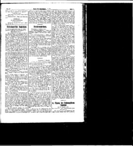 PassauNewspaper 5