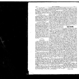 PassauNewspaper 2