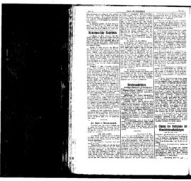 PassauNewspaper 4