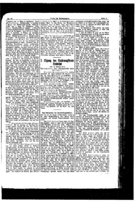 PassauNewspaper 3