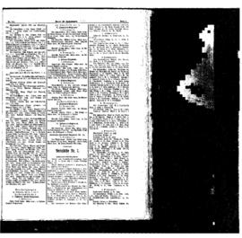 PassauNewspaper 5