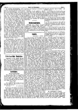 PassauNewspaper 5
