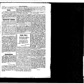 PassauNewspaper 5
