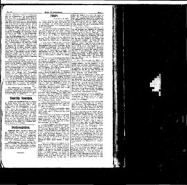 PassauNewspaper 5