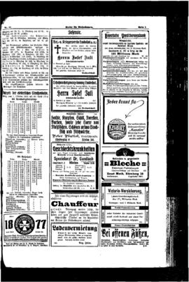 PassauNewspaper 5