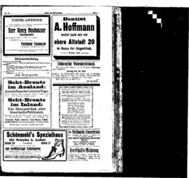 PassauNewspaper 7