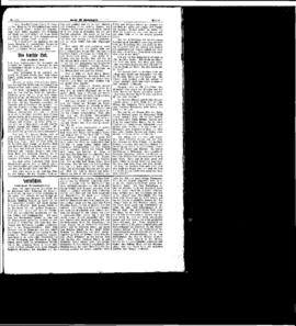 PassauNewspaper 5