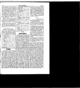 PassauNewspaper 5