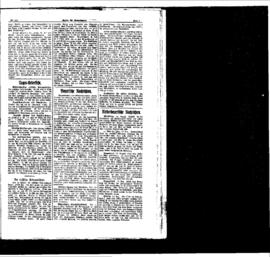 PassauNewspaper 5