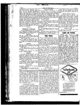 PassauNewspaper 6