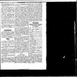 PassauNewspaper 5