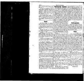 PassauNewspaper 4