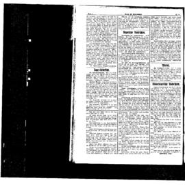 PassauNewspaper 4