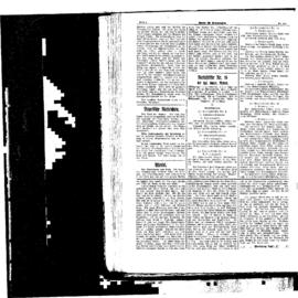 PassauNewspaper 4