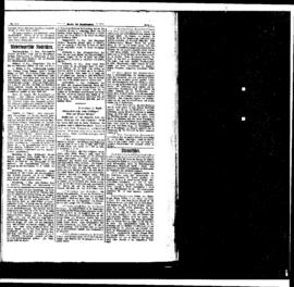 PassauNewspaper 5