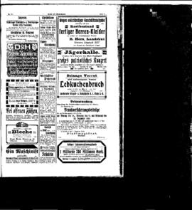 PassauNewspaper 7