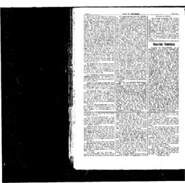 PassauNewspaper 2