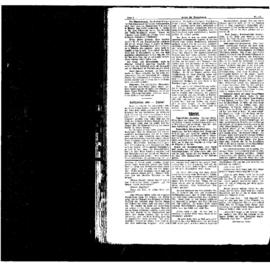 PassauNewspaper 2