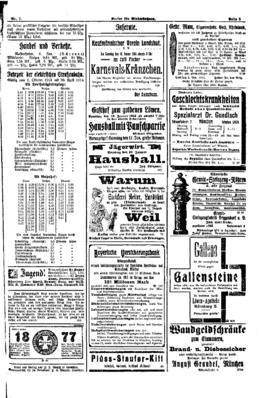 PassauNewspaper 5