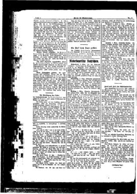 PassauNewspaper 2
