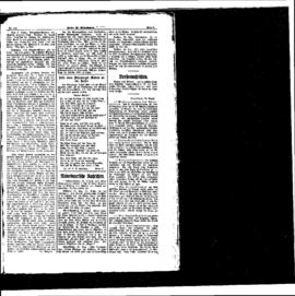 PassauNewspaper 5