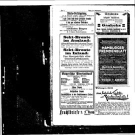 PassauNewspaper 8