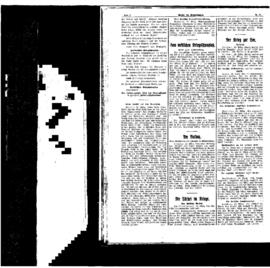 PassauNewspaper 2