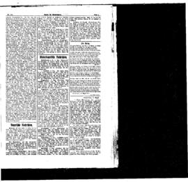 PassauNewspaper 5