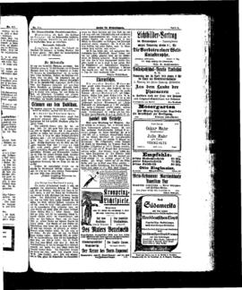 PassauNewspaper 5